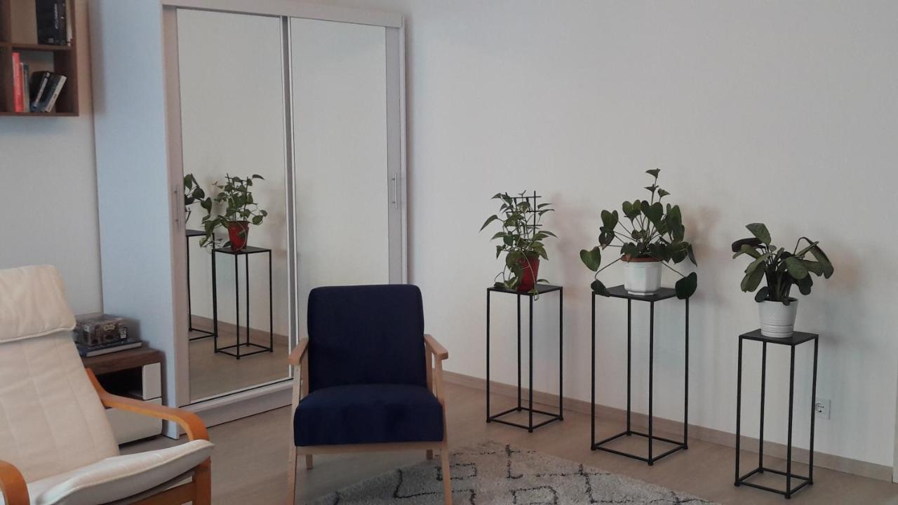 Liliom Apartment With Free Parking Space ブダペスト エクステリア 写真